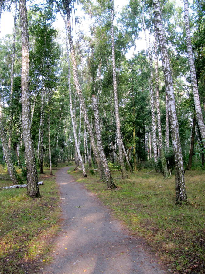 Готель «Северинівка» Bilik gambar