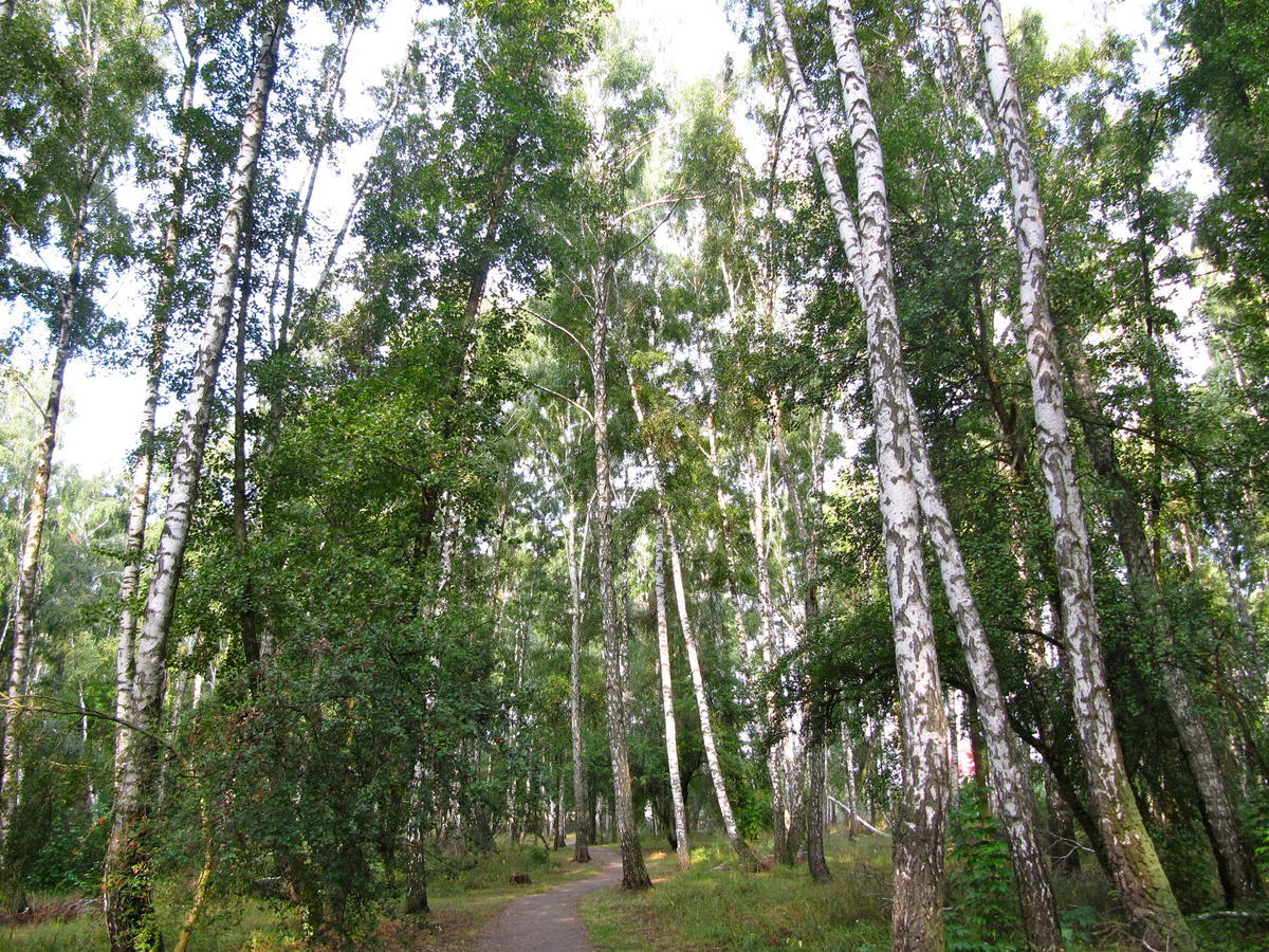 Готель «Северинівка» Luaran gambar